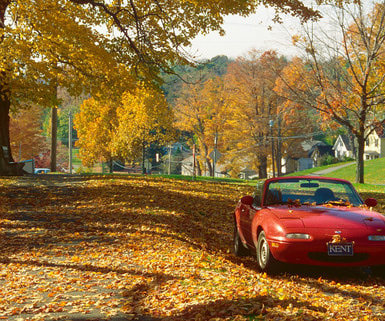 Illustration for article titled The 6 Seasons of Maine
